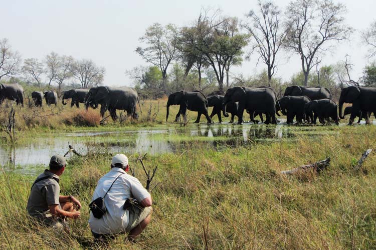 Out of the Ordinary: Motswiri - Ride & Walk Botswana