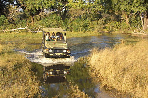 Game Drives at Pom Pom Camp