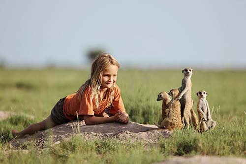 Meerkat