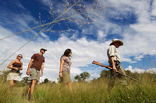 Guided Walks at Motswiri