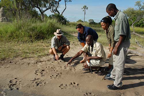 Baines Camp Botswana