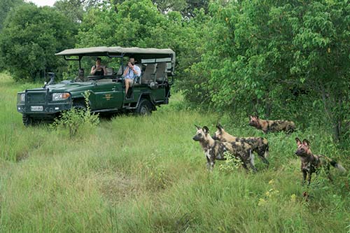 Selinda Game Drive