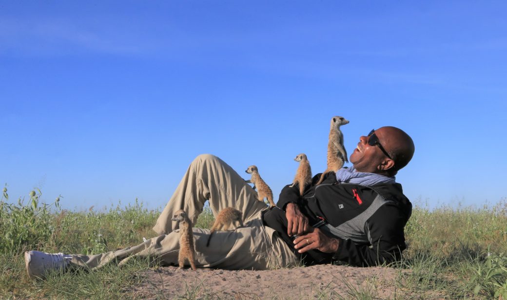 jacks camp meerkats botswana safari specialists natural selection
