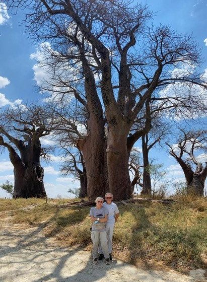Baines Baobabs Nxai Pan