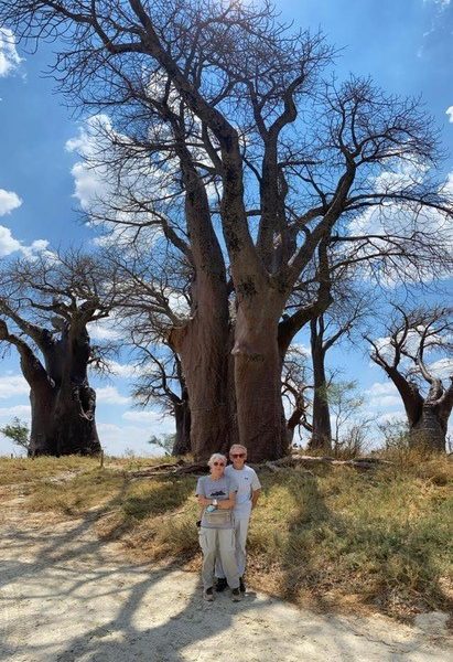 Baines Baobabs Nxai Pan