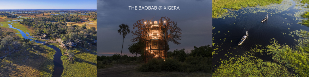 The Baobab at Xigera by Red Carnation