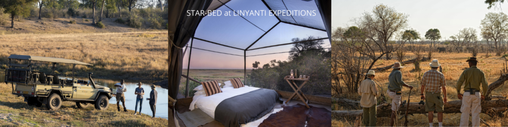 Linyanti Expeditions Starbed