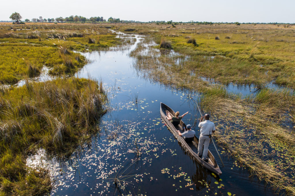 Glide through the Okavango Delta in a mokoro (dug-out canoe)