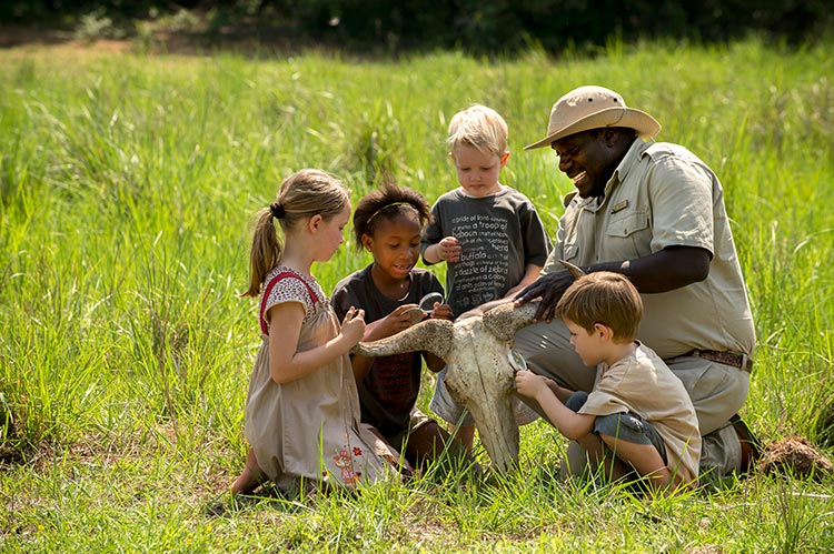 Family Friendly: South Africa's Game Reserves