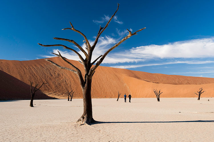 Best Value: Self drive safari in Namibia