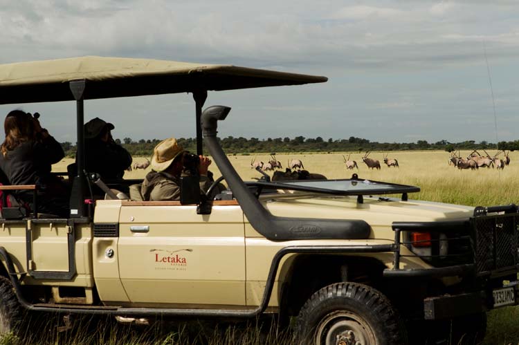 Out of the Ordinary: Letaka Safaris' Blooming Desert Mobile Safari
