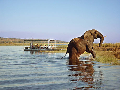 Game Viewing on the Chobe River