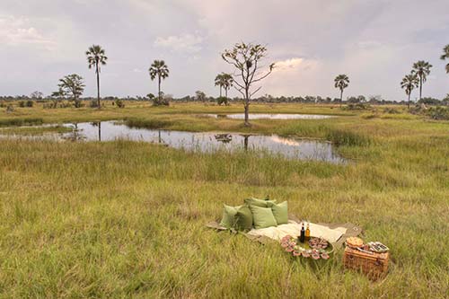 Okavango Picnic