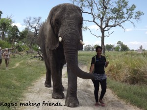 Kagiso elephant interaction at Stanleys