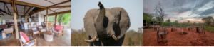 Chobe Elephant Camp Highlights
