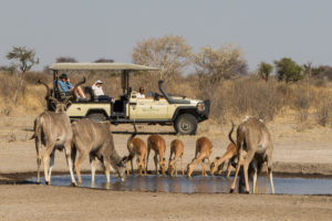 Dinaka desert Botswana Safari Specialists