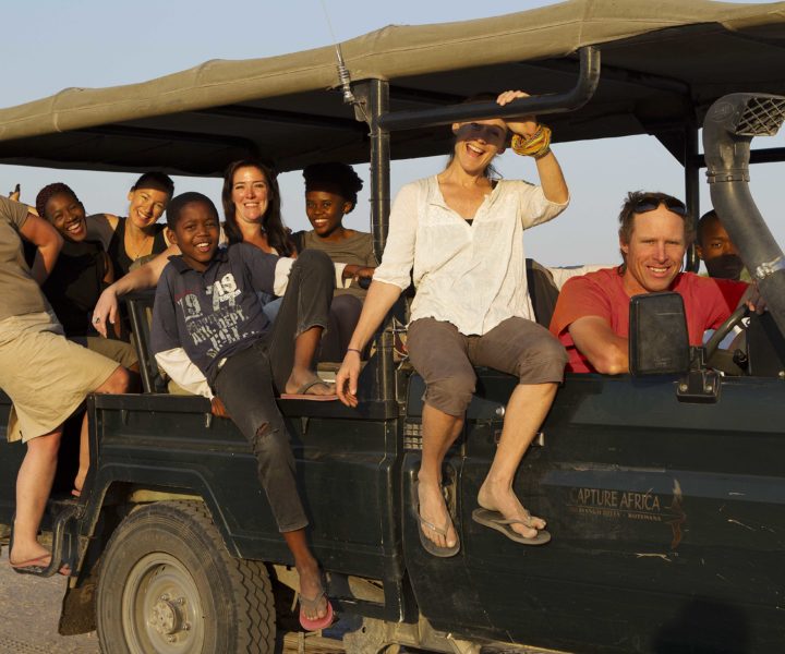 safari, botswana, game drive, safari specialits