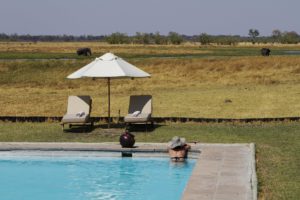 safari, botswana, lodge, swimming pool