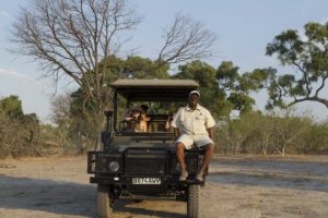 game drive tracker botswana safari