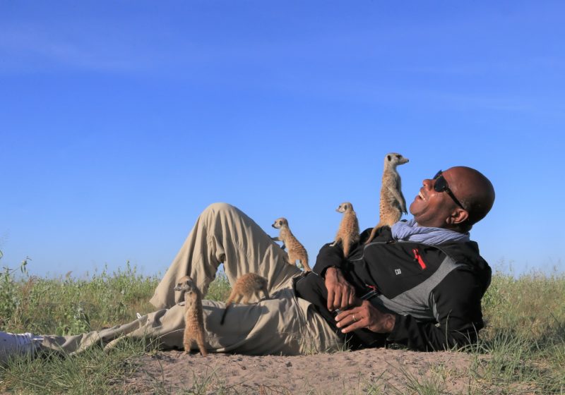 jacks camp meerkats botswana safari specialists natural selection
