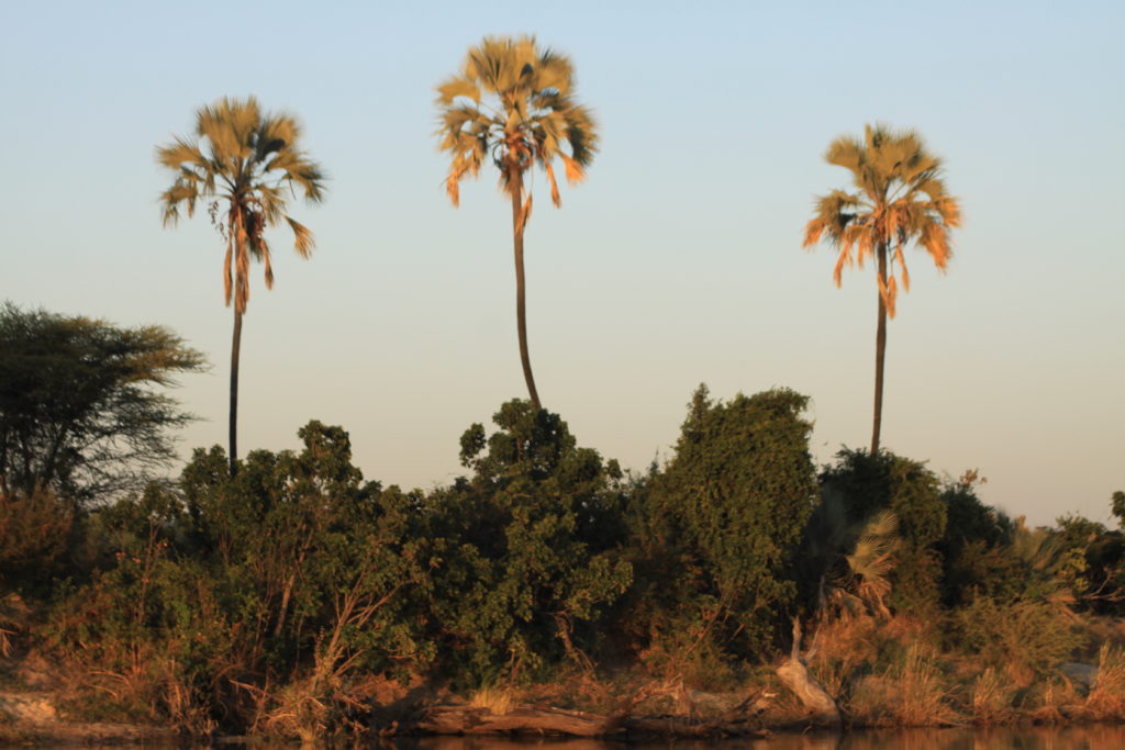 Safari Specialists Zimbabwe Old Drift Zambezi