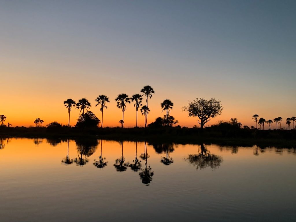 Okavango Delta beauty