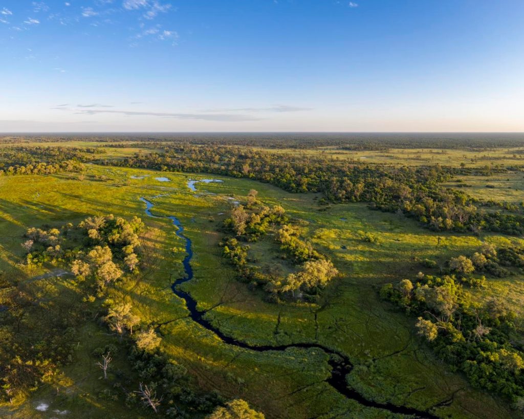 Okavango Delta landscape