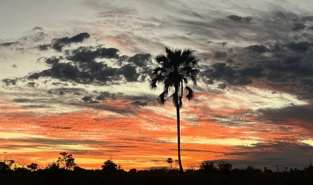 The best time to travel to Botswana is ANYTIME