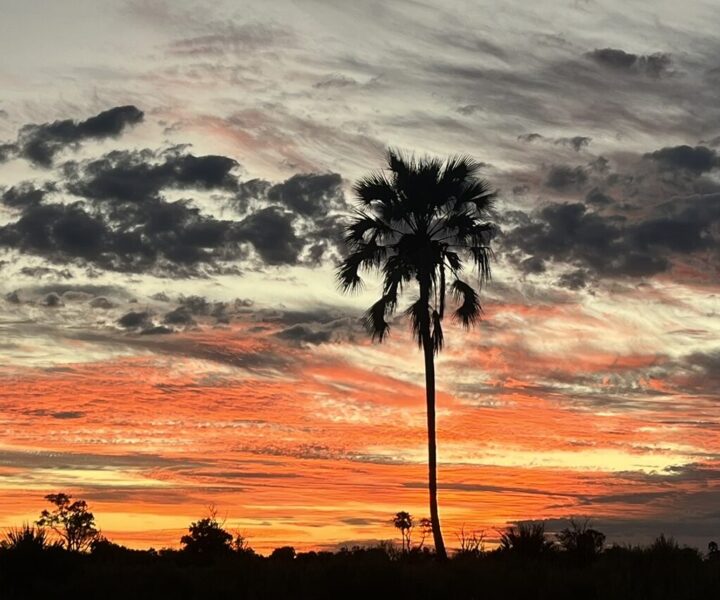 The best time to travel to Botswana is ANYTIME