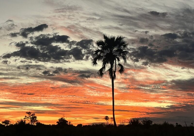 The best time to travel to Botswana is ANYTIME