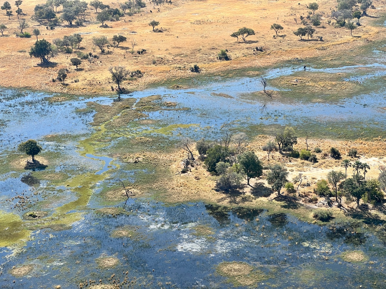 Flying over the Delta during our High Season